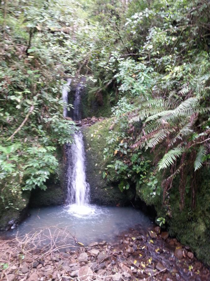 Kotare Ridge Bed & Breakfast Waihi Exterior foto